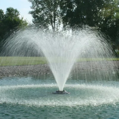 Предложение фабрики Открытый Современный Запрограммированный Большой Садовый Танцующий Фонтан Воды